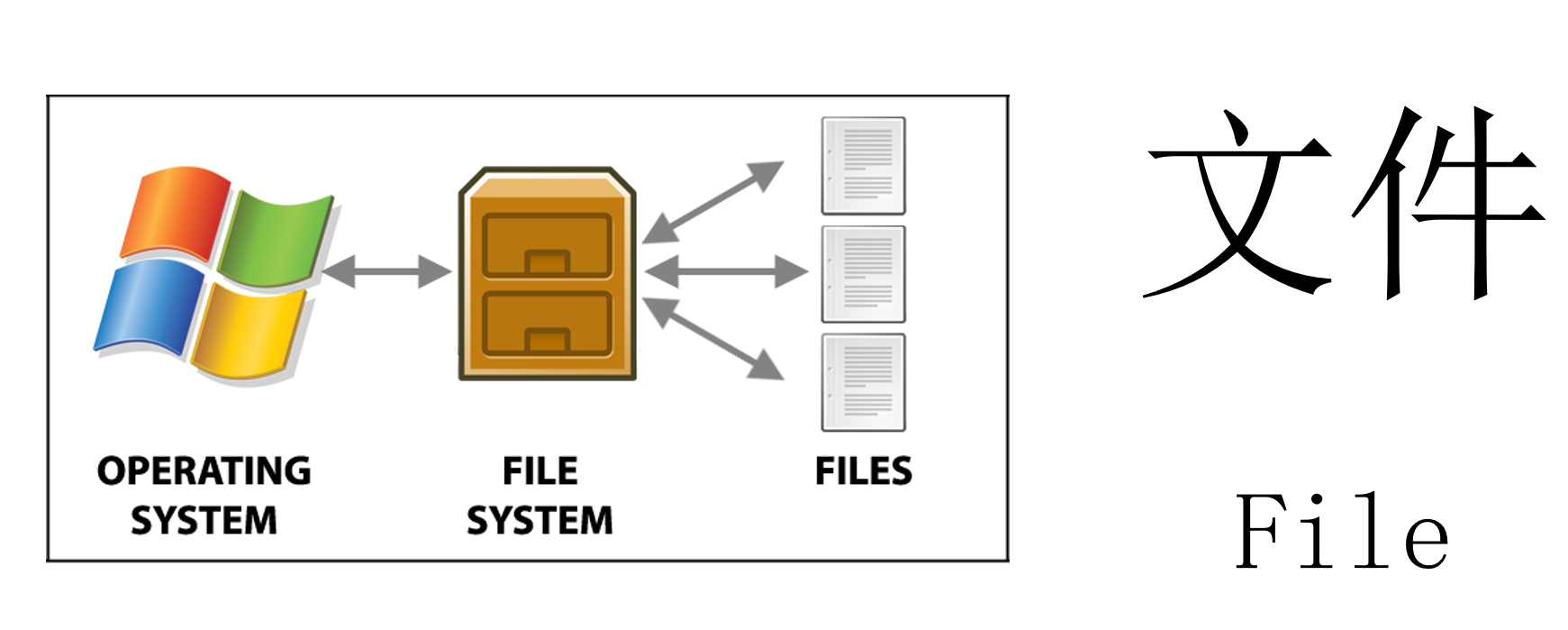 image-20211215100356630