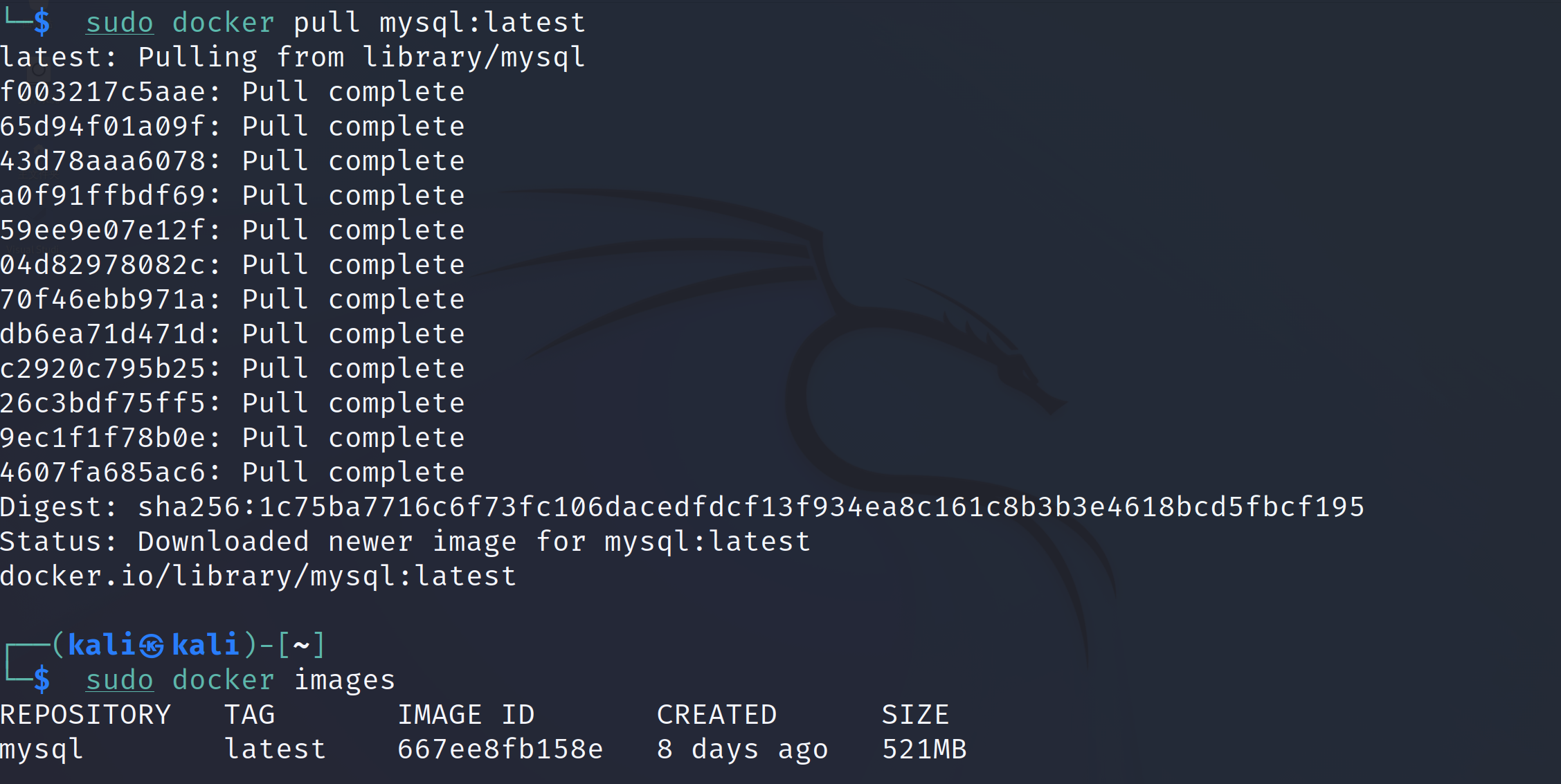 image-20220407140256154