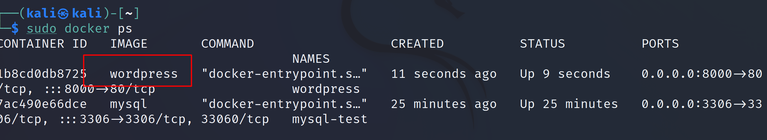 image-20220407142848269