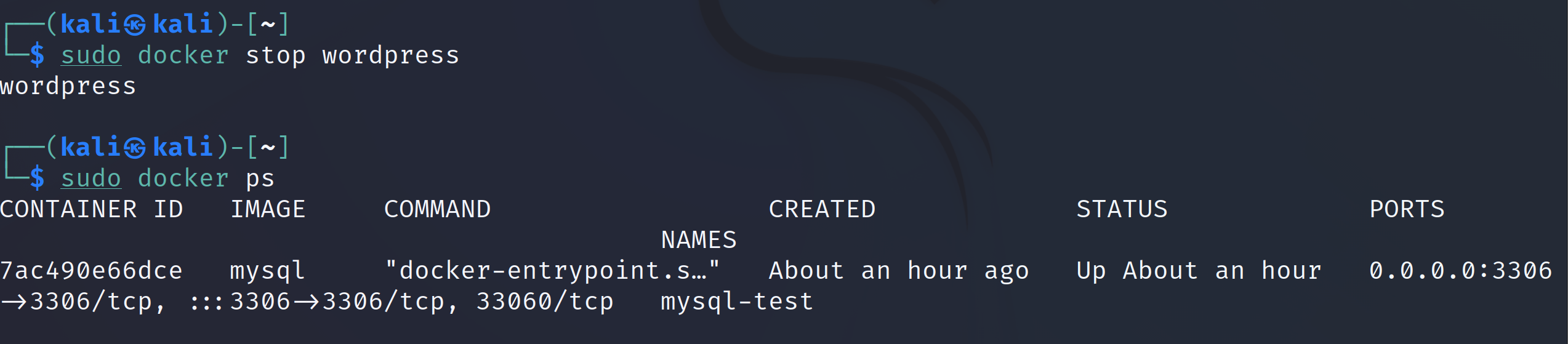 image-20220407152544517