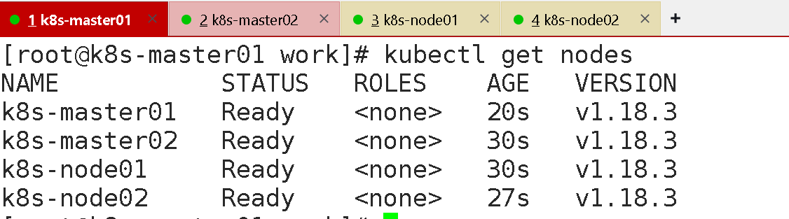 image-20240421195002220