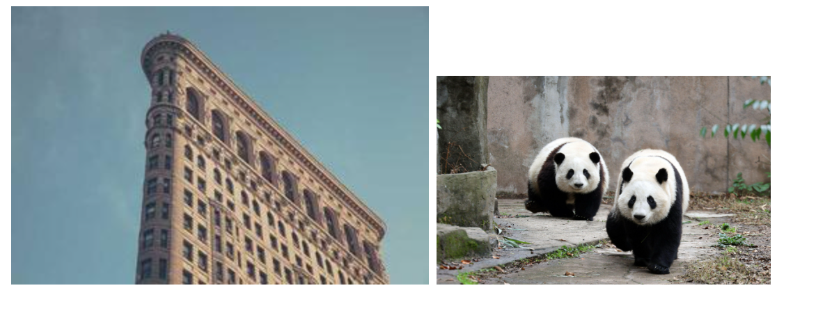 image-20251230190812321